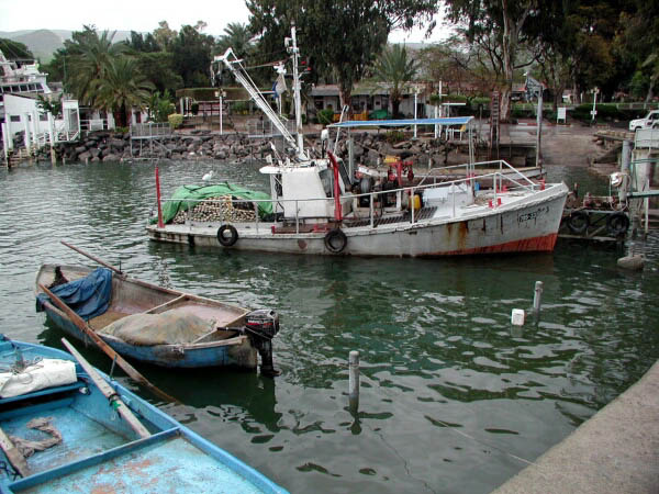 5. Februar 2005, 12.23.34 KINNERET