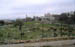 bethlehem-weide