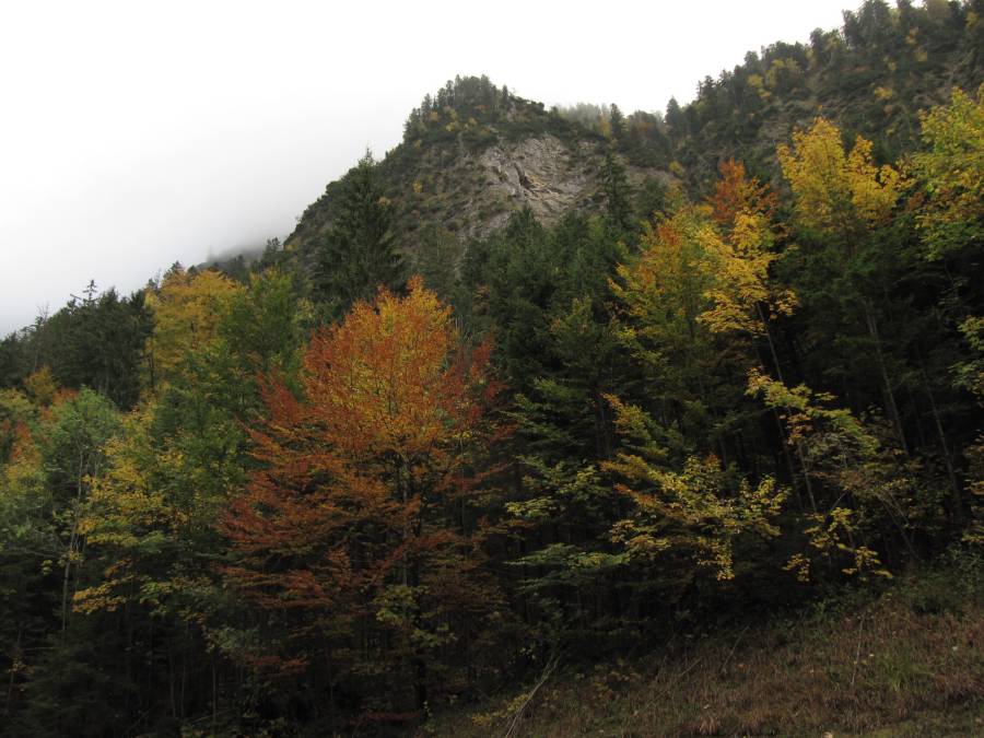 IMG_0615.JPG