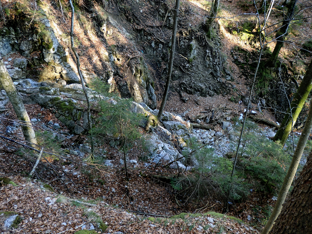P3181058.JPG