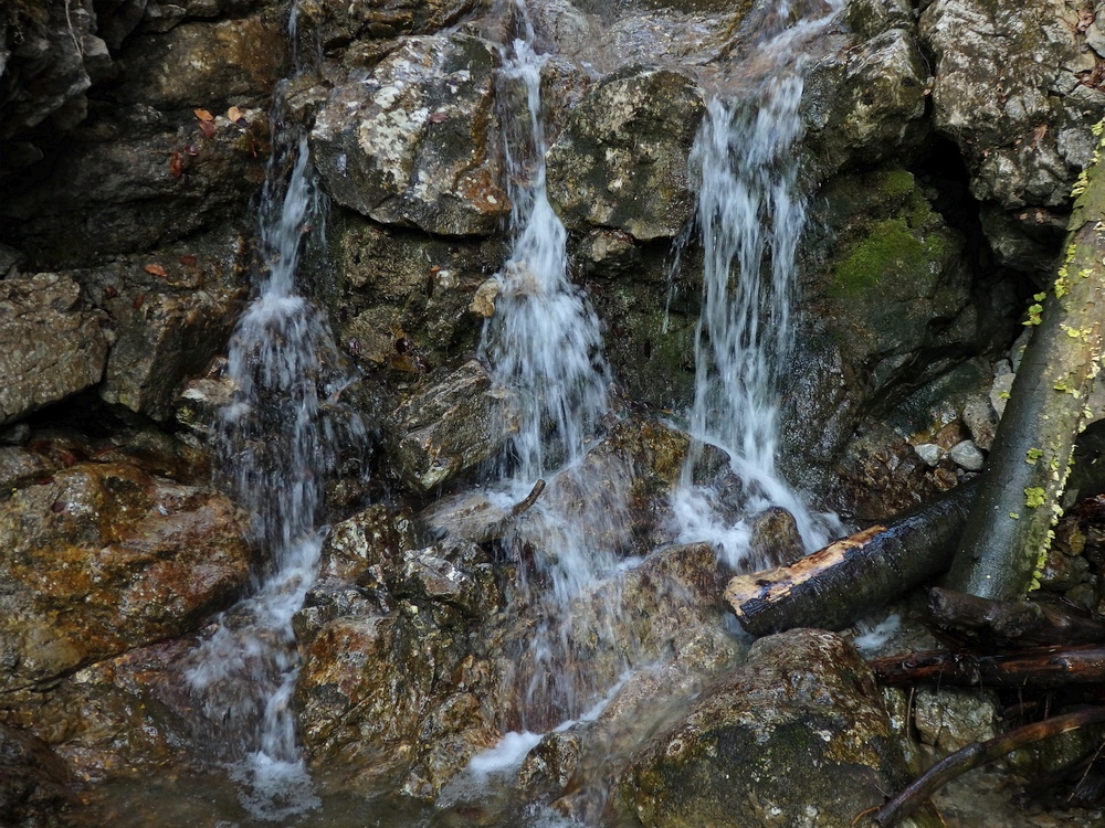 P3181065.JPG