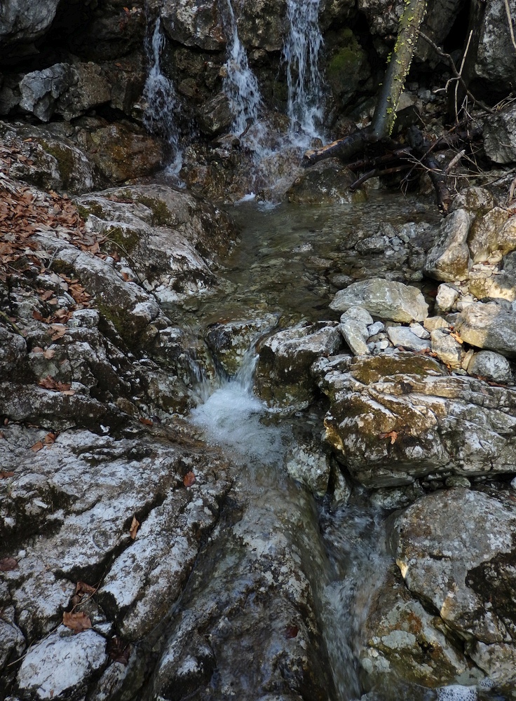 P3181068.JPG