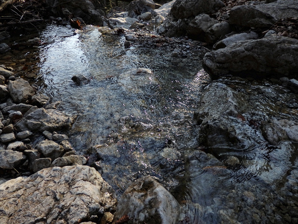 P3181070.JPG