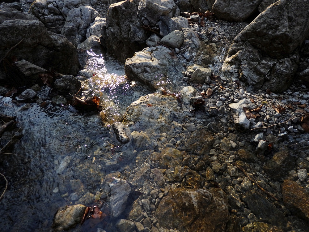 P3181071.JPG