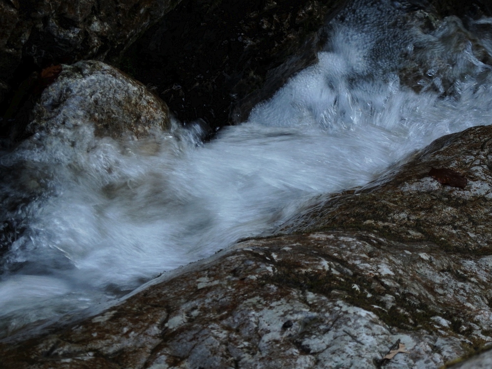 P3181089.JPG