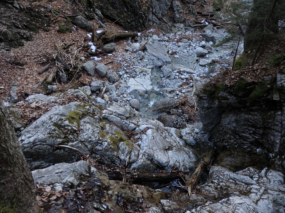 P3181097.JPG