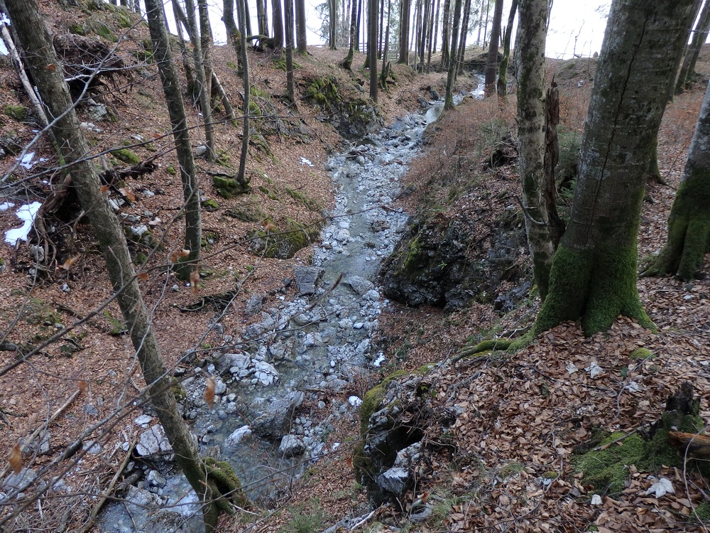 P3181103.JPG