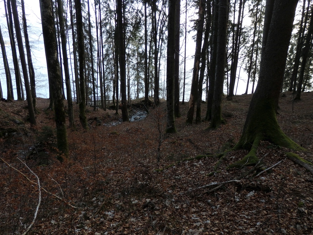 P3181104.JPG