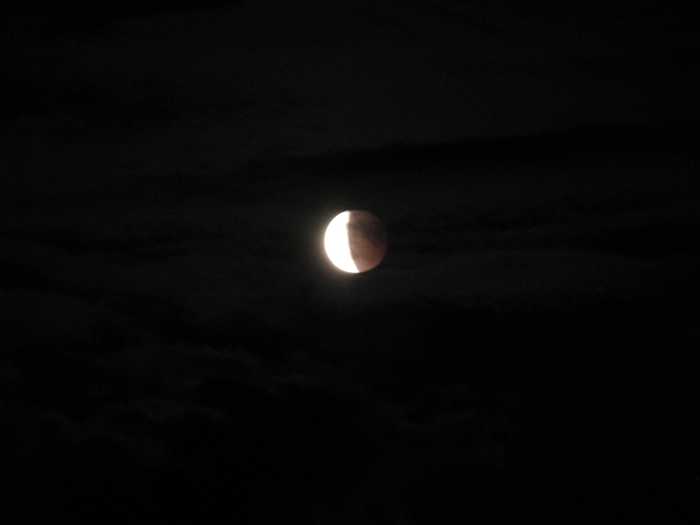 IMG_4973.JPG