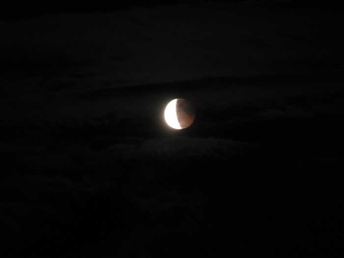 IMG_4974.JPG