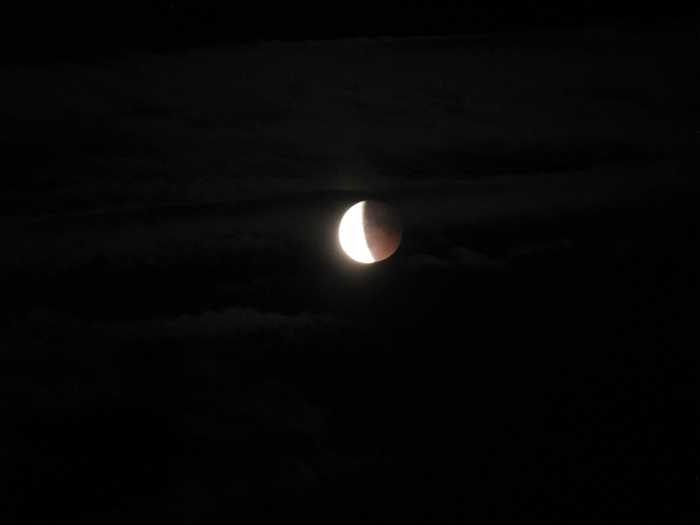 IMG_4975.JPG
