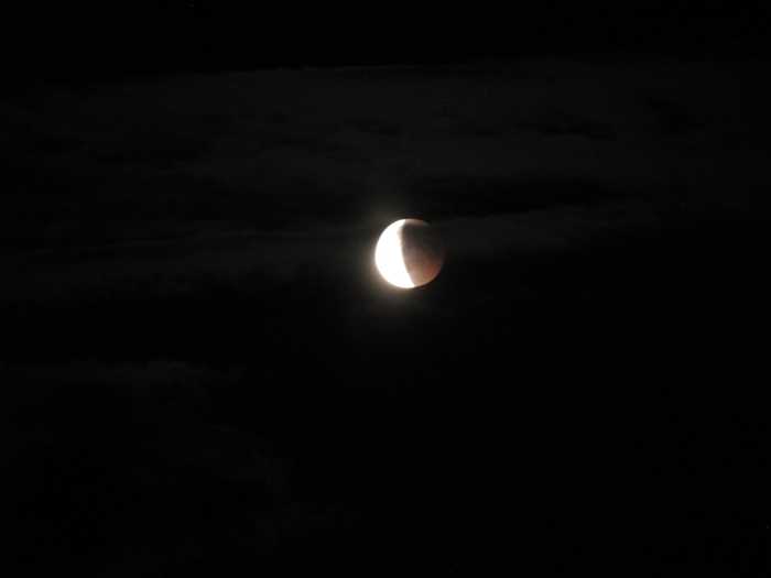 IMG_4976.JPG