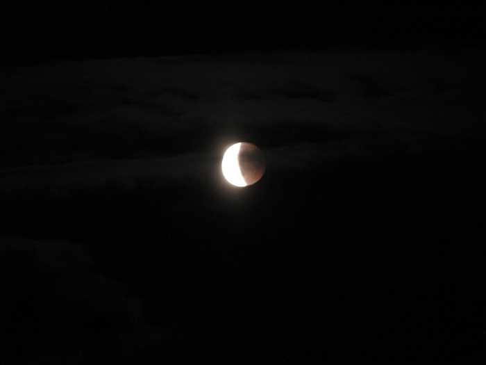 IMG_4977.JPG