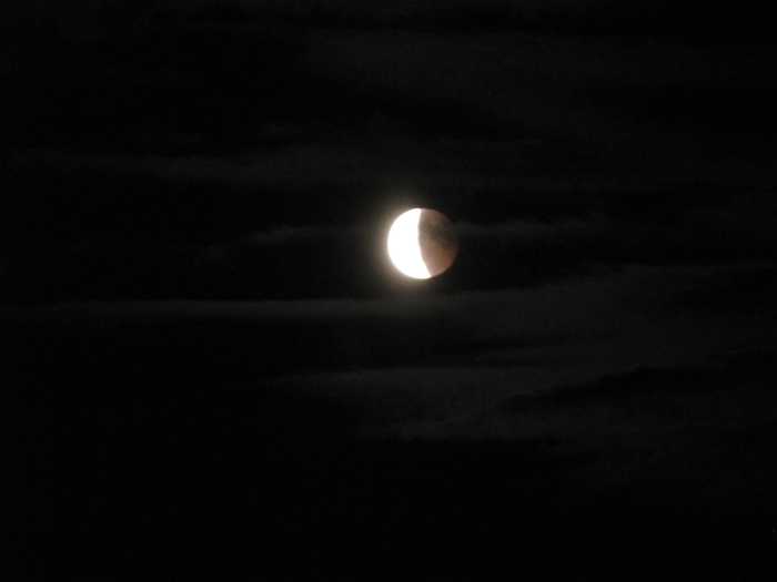 IMG_4981.JPG