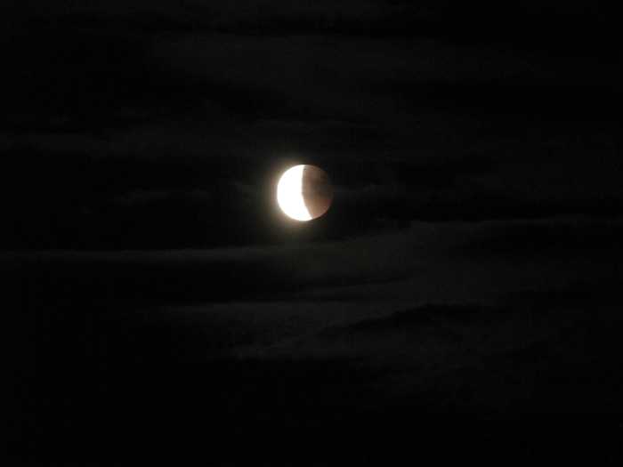 IMG_4982.JPG