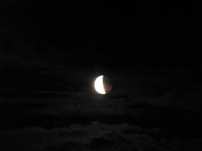IMG_4986.JPG