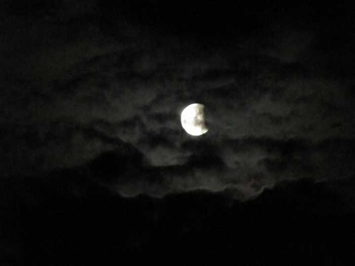 IMG_5013.JPG