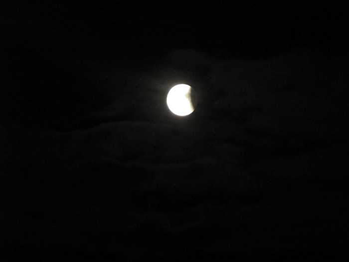 IMG_5018.JPG