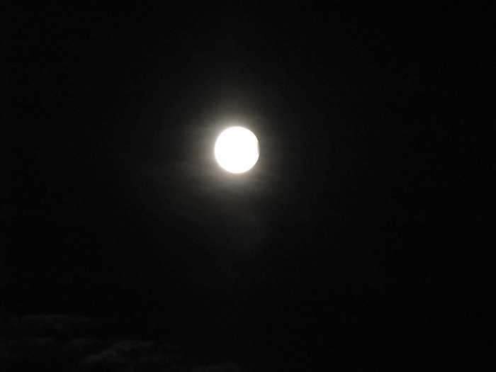 IMG_5031.JPG