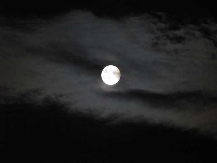 IMG_5040.JPG