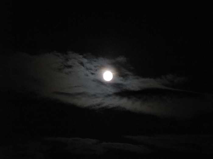 IMG_5043.JPG