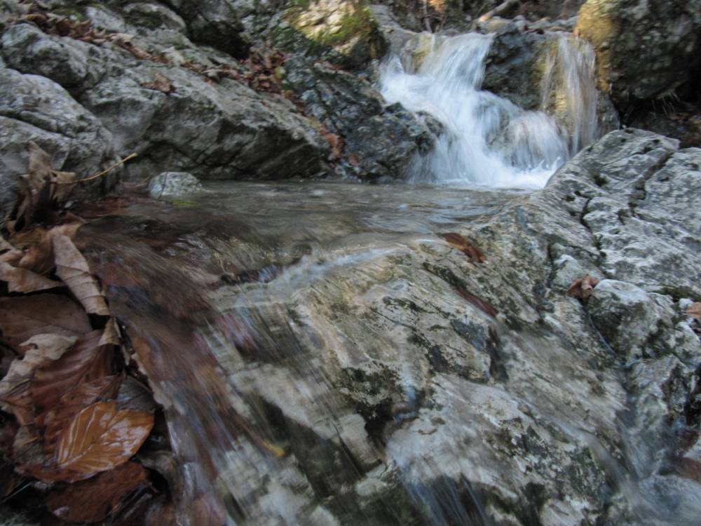 IMG_1493.JPG
