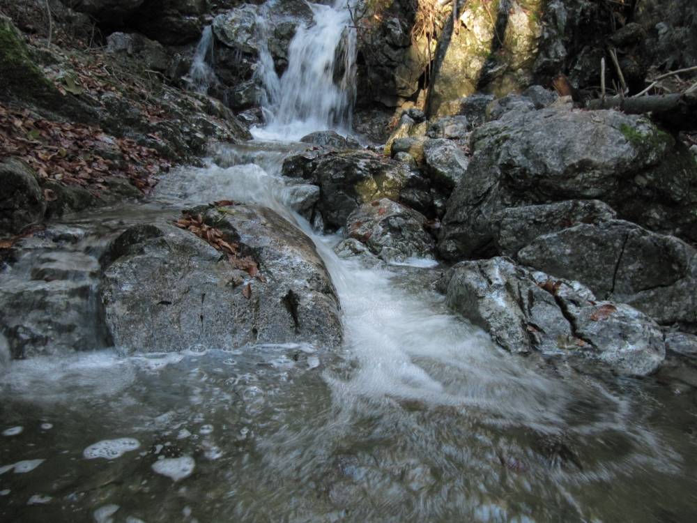 IMG_1503.JPG