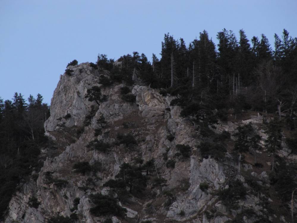 IMG_1604.JPG