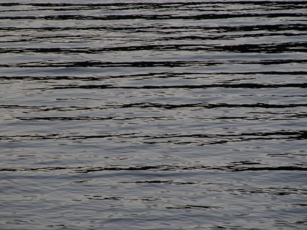 IMG_1622.JPG