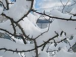 IMG_0533.JPG