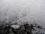 IMG_0551.JPG