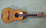 gitarre-arnold.jpg
